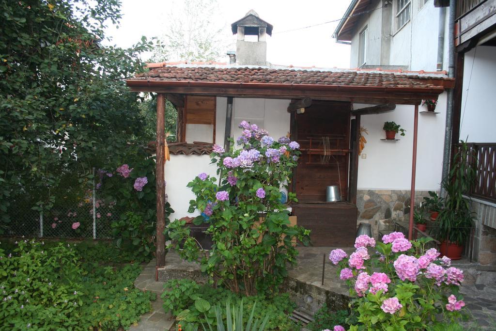 Hotel Todorova House Zlatograd Exterior foto